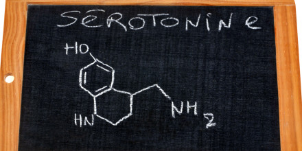 Santé : à quoi sert la sérotonine ?